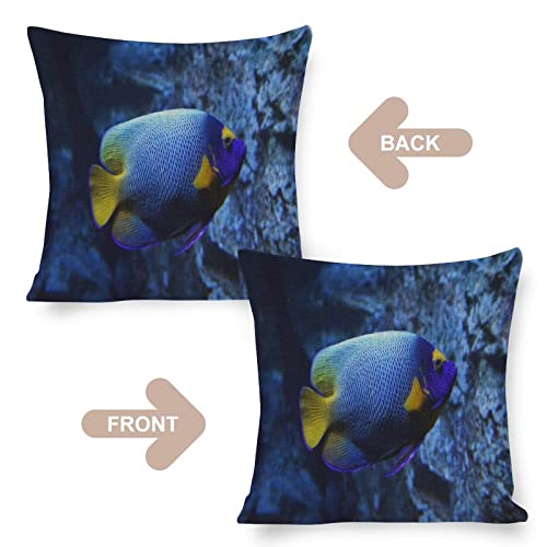 Cushion Pillow Cover Ocean Sea Starfish Zippered Pillow Cover Underwater Sea World Fish Nautical Ocean Throw Pillow Covers 18×18 Pillows for Couch Sofa Patio Furniture Home Decor - Image 3